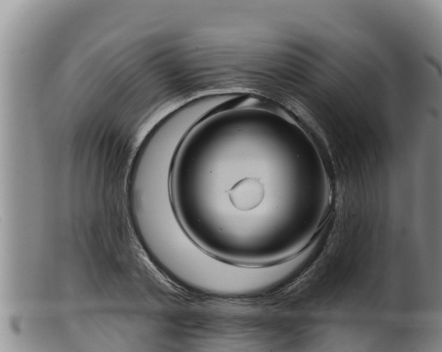 X0000099540789200805231126