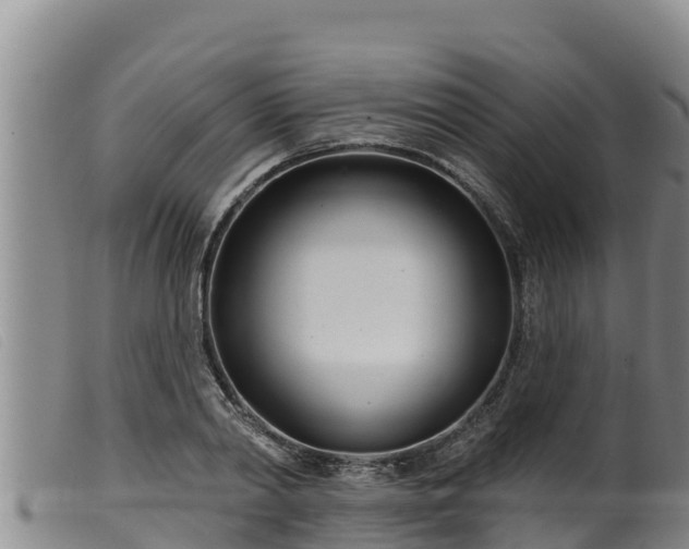 X0000099540790200805231126