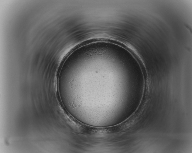 X0000099540791200805231126