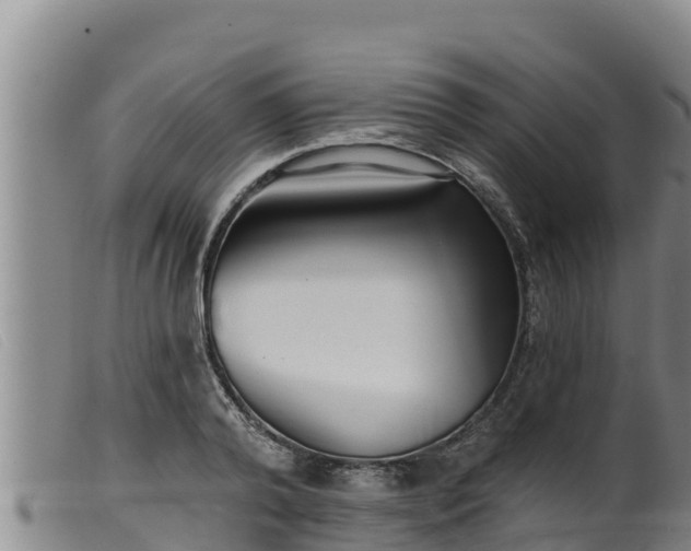 X0000099540792200805231126