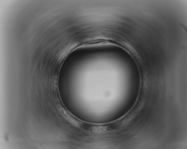 X0000099540793200805231126