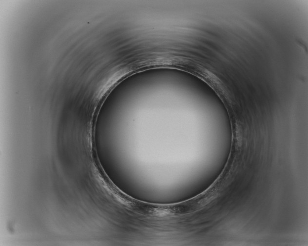 X0000099540794200805231126