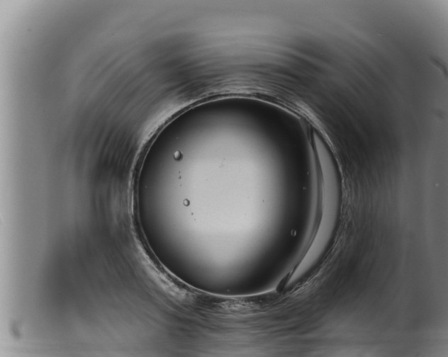 X0000099540795200805231126