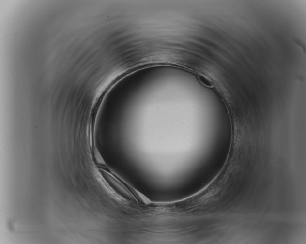 X0000099540796200805231126