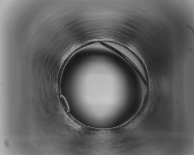 X0000099540797200805231126