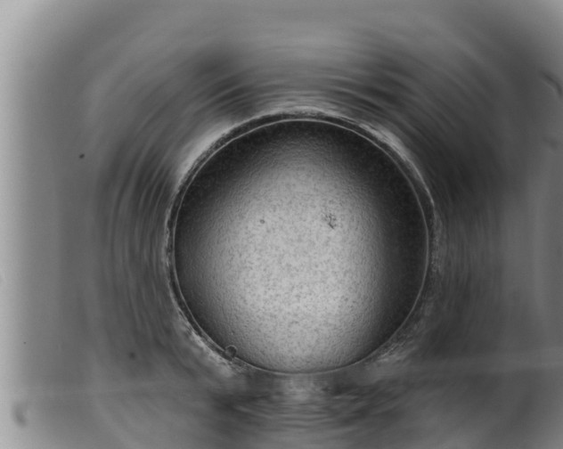 X0000099540799200805231126