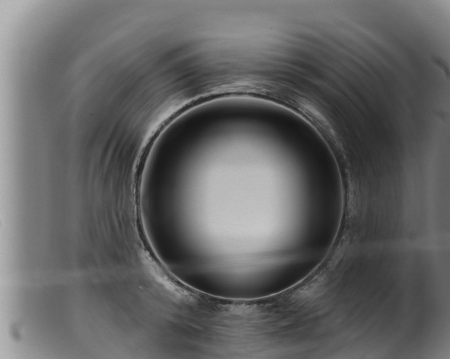 X0000099540800200805231126