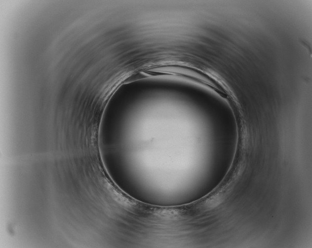 X0000099540801200805231126