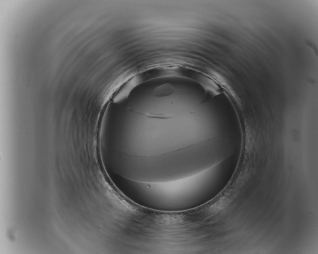 X0000099540802200805231126