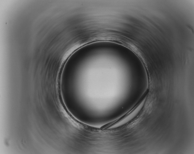 X0000099540803200805231126