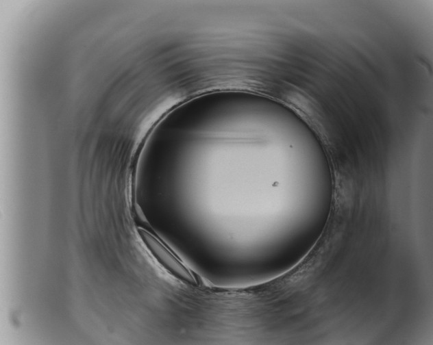 X0000099540804200805231125