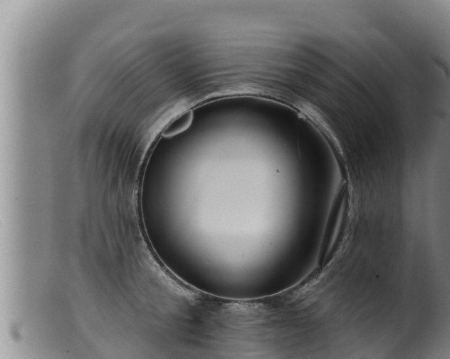 X0000099540805200805231125