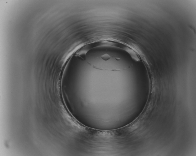 X0000099540806200805231125