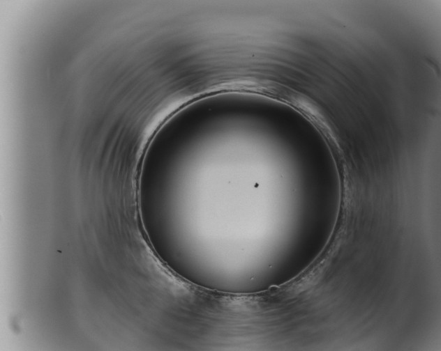 X0000099540808200805231125