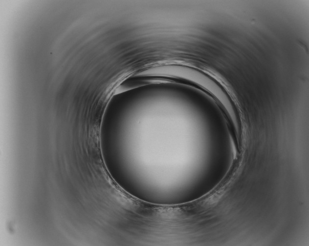 X0000099540809200805231125