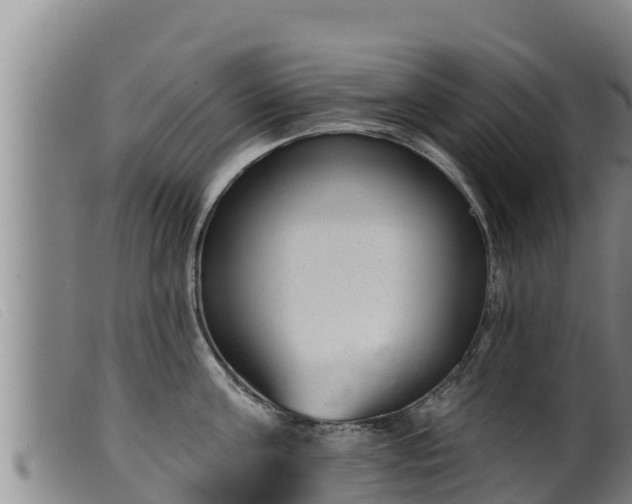 X0000099540811200805231125