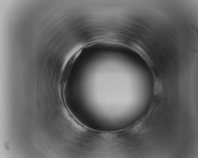 X0000099540812200805231125