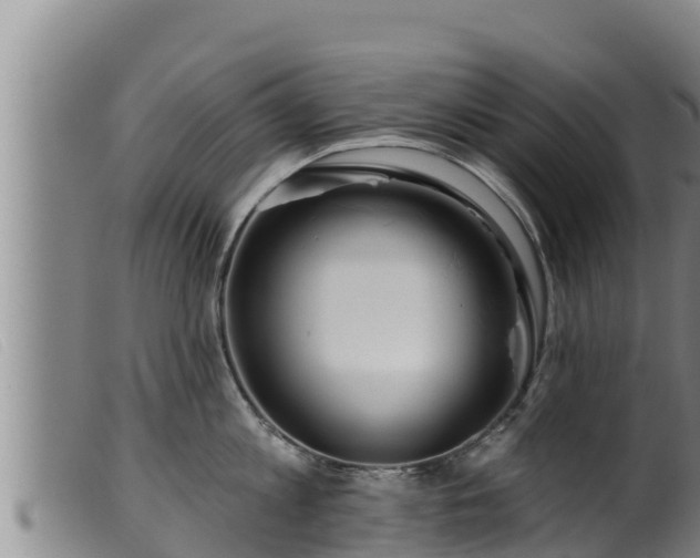 X0000099540813200805231125