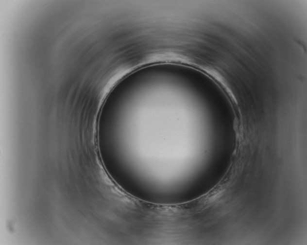 X0000099540815200805231125