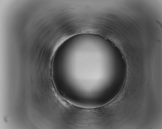 X0000099540816200805231125