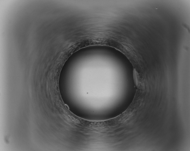 X0000099540817200805231124