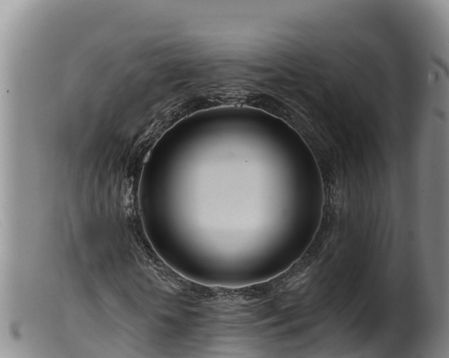 X0000099540818200805231124