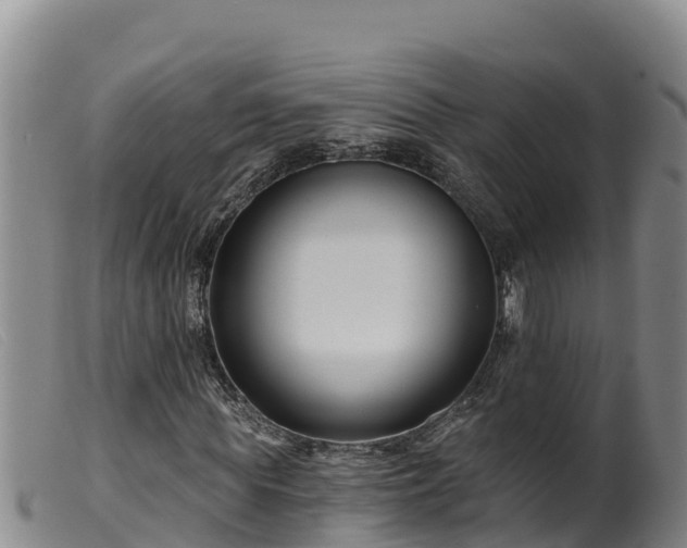 X0000099540819200805231125