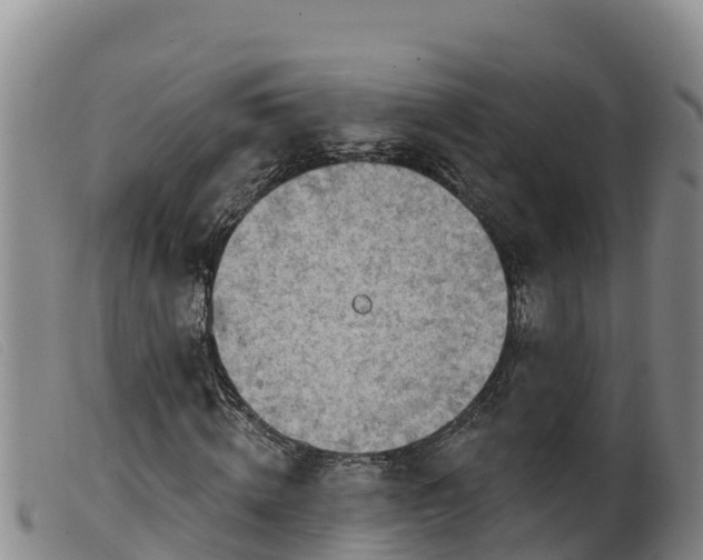 X0000099540820200805231125