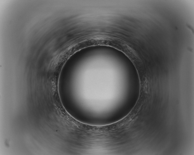 X0000099540821200805231125