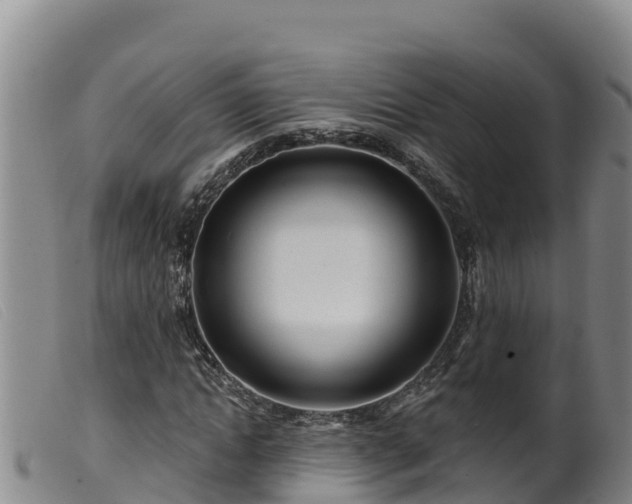 X0000099540822200805231125