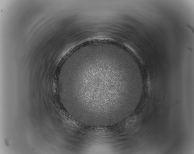 X0000099540823200805231125