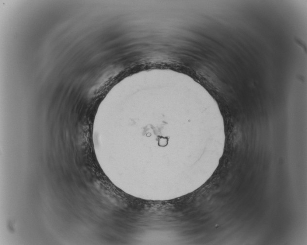 X0000099540824200805231125