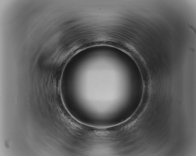 X0000099540825200805231125