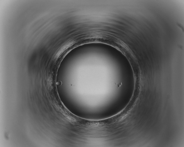 X0000099540826200805231125