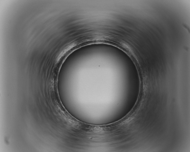 X0000099540827200805231125