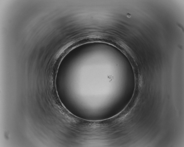 X0000099540829200805231125