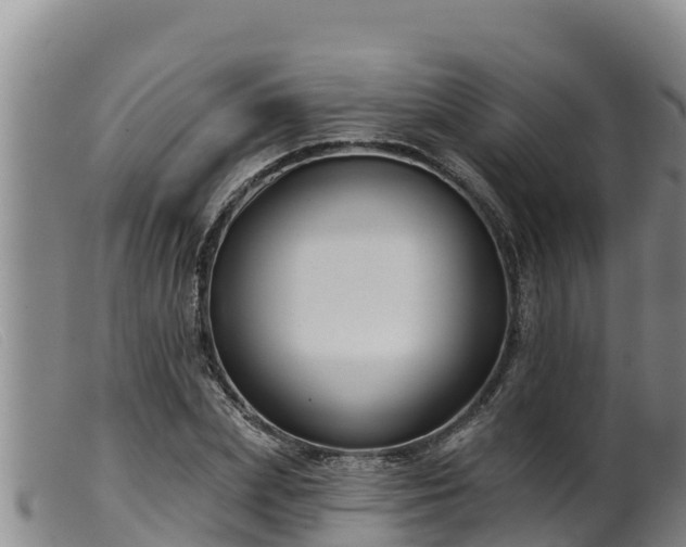 X0000099540831200805231125