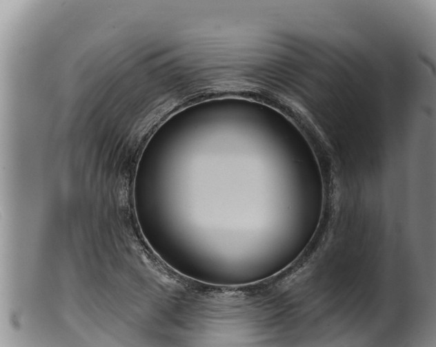 X0000099540833200805231125