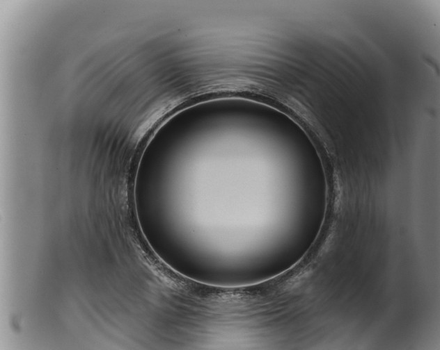 X0000099540834200805231125