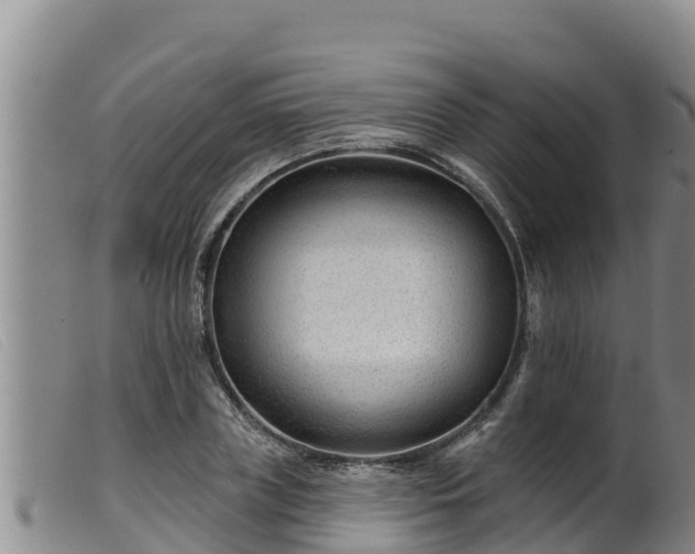 X0000099540835200805231125