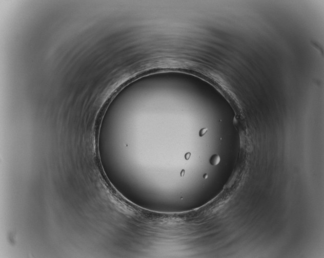 X0000099540837200805231125