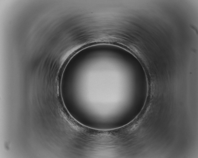 X0000099540838200805231125