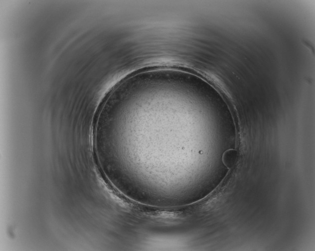 X0000099540839200805231125