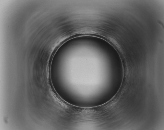 X0000099540840200805231125