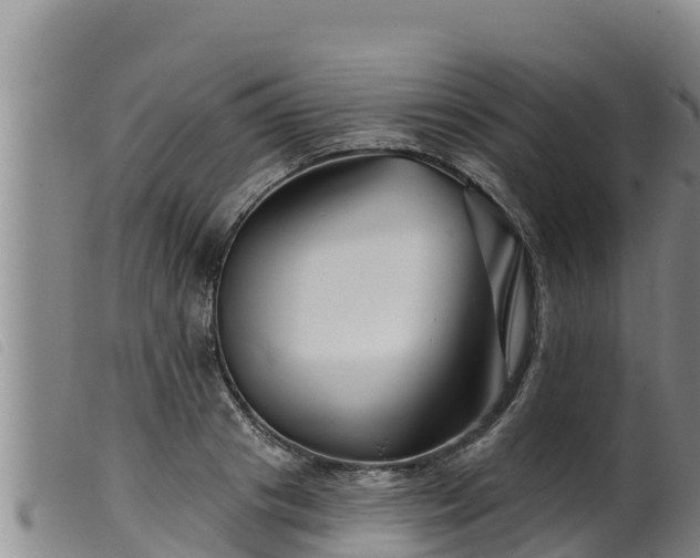 X0000099540841200805231125