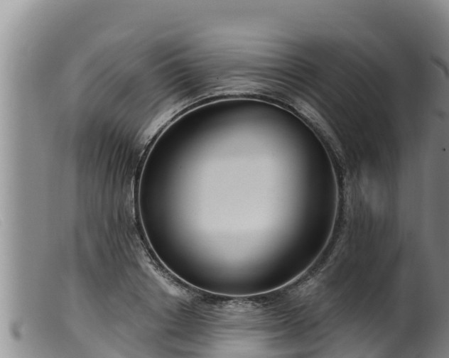 X0000099540842200805231125