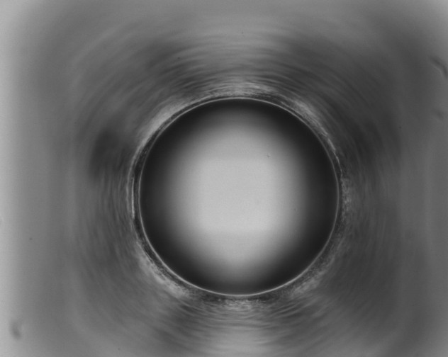 X0000099540843200805231125