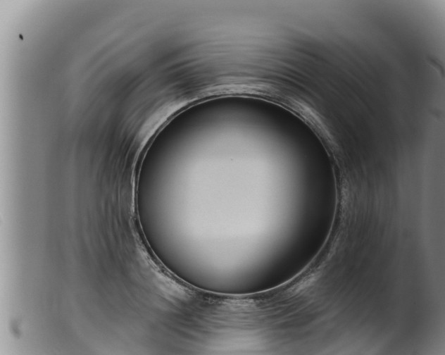 X0000099540844200805231125