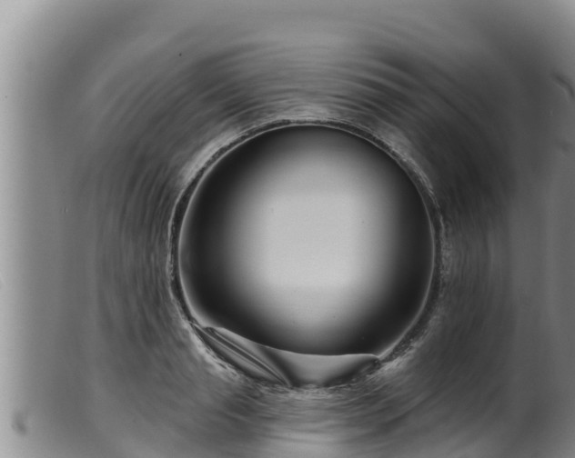 X0000099540845200805231125