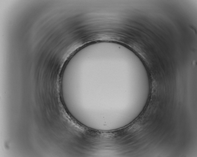 X0000099540848200805231125